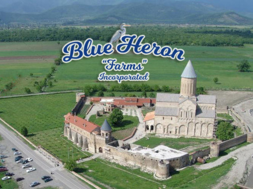 Blue Heron Farms